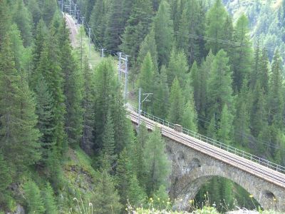 Weitere Bilder am 4.Tag