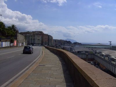 Weitere Bilder am 8.Tag