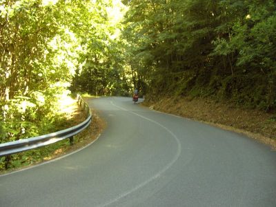 Weitere Bilder am 12.Tag