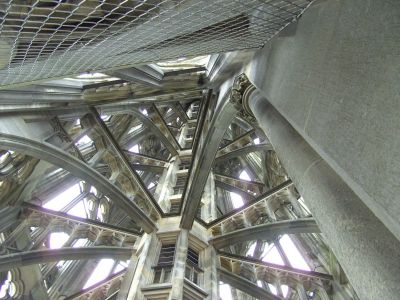 Weitere Bilder am 19.Tag