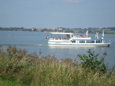 Weitere Bilder am 20.Tag