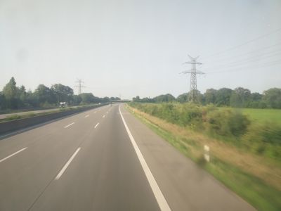 Weitere Bilder am 17.Tag