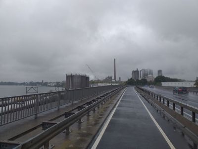 Weitere Bilder am 29.Tag