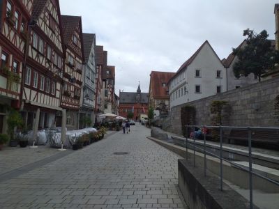 Weitere Bilder am 31.Tag