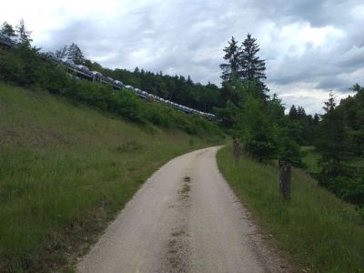 Weitere Bilder am 16.Tag